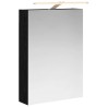 Armoire Miroir de Salle de Bain Chêne noir 50 x 14,5 x 70 cm 625944625944