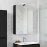 Armoire Miroir de Salle de Bain Chêne noir 50 x 14,5 x 70 cm 625944625944