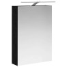 Armoire Miroir de Salle de Bain Chêne noir 50 x 14,5 x 70 cm 625944625944