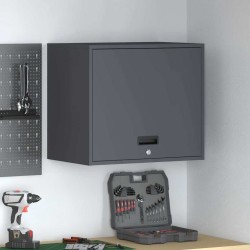 Armoire murale pour garage Anthracite 60 x 40 x 53 cm 625963625963
