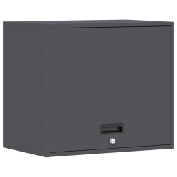 Armoire murale pour garage Anthracite 60 x 40 x 53 cm 625963625963
