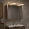 Armoire Miroir de Salle de Bain Chêne artisan 625969625969