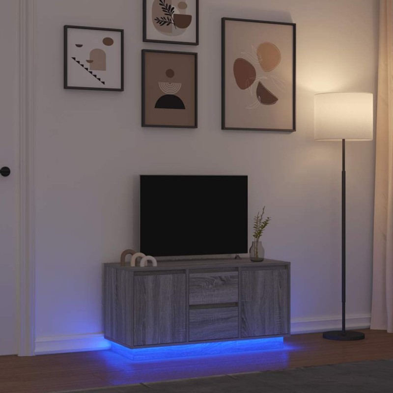 Meuble TV avec lumières LED sonoma gris 100x41x50 cm 626261626261