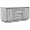 Meuble TV avec lumières LED sonoma gris 100x41x50 cm 626261626261