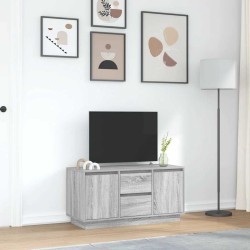 Meuble TV avec lumières LED sonoma gris 100x41x50 cm 626261626261