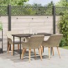 Ensemble de salle à manger pour jardin 5 pcs Beige polyrotin 626298626298