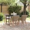Ensemble de salle à manger pour jardin 5 pcs Beige polyrotin 626298626298