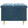 Pouf de rangement avec coussin Bleu 60 x 60 x 45 cm Velours 626594626594