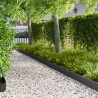 Bordure de Pelouse 10 pcs 103 x 15 cm Acier Noir 627182627182