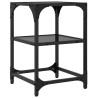 Tables basses avec dessus en verre noir 2 pcs 30x30x45 cm acier 627430627430