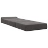 Canapé-lit pliable Gris foncé 200 x 70 x 15 cm Velours 627435627435