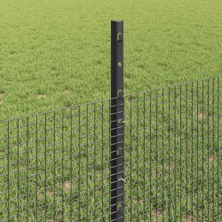 Clôture en fil soudé avec poteaux 25 x 0,5 m Acier galvanisé 627739627739