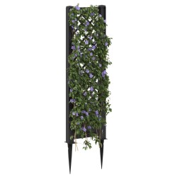 Trellis avec pique Anthracite 43 x 6 x 165 cm PP 627832627832