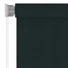 Store roulant d'extérieur 205 (l) x 140 (H) cm vert foncé HDPE 627845627845
