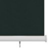 Store roulant d'extérieur 205 (l) x 140 (H) cm vert foncé HDPE 627845627845