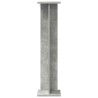 Support de Plante 2 pcs Gris Béton 25 x 25,5 x 100,5 cm 627882627882