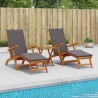 Chaise longue inclinable et pliable 2 pcs Gris 55 x 146 x 91 cm 627935627935