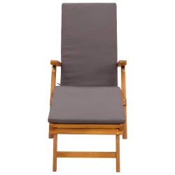Chaise longue inclinable et pliable 2 pcs Gris 55 x 146 x 91 cm 627935627935