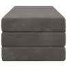 Canapé-lit pliable 120 x 67 x 45 cm Gris foncé 628000628000
