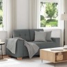 Canapé deux places gris foncé 160 x 77 x 82 cm en tissu 628003628003