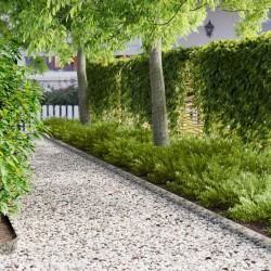 Bordure de Pelouse 10 pcs 100 x 12 cm Acier Argenté 628271628271