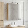 Armoire Miroir de Salle de Bain Chêne Sonoma 60 x 14,5 x 70 cm 628282628282
