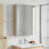 Armoire Miroir de Salle de Bain Chêne Sonoma 628283628283