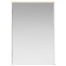Armoire Miroir de Salle de Bain Chêne Sonoma 628283628283