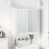Armoire Miroir de Salle de Bain Blanc 60 x 20 x 60 cm 628292628292