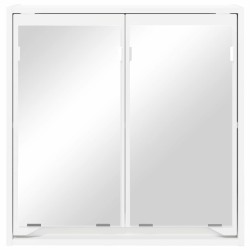 Armoire Miroir de Salle de Bain Blanc 60 x 20 x 60 cm 628292628292