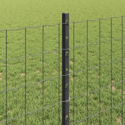 Clôture Euro avec poteau 25 x 0,8 m Acier recouvert de PVC Gris 628354628354