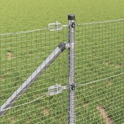 Clôture en fil soudé avec pointes 10 x 0,6 m Acier galvanisé 628361628361