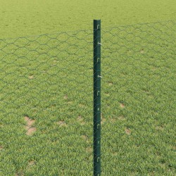Clôture hexagonale avec poteau 50 x 1 m Acier recouvert de PVC 628483628483