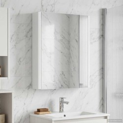 Armoire Miroir de Salle de Bain Blanc 43 x 11,5 x 60,5 cm 628660628660