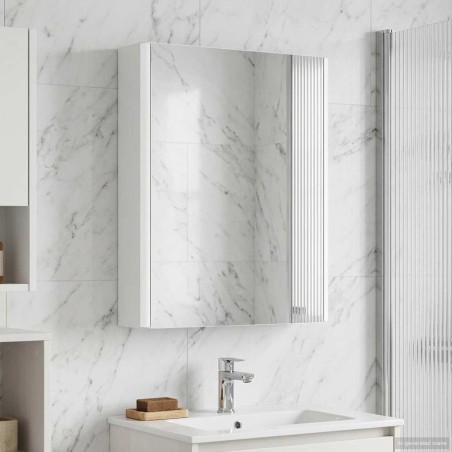 Armoire Miroir de Salle de Bain Blanc 43 x 11,5 x 60,5 cm 628660628660