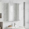 Armoire Miroir de Salle de Bain Blanc 43 x 11,5 x 60,5 cm 628660628660