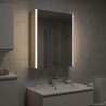 Armoire Miroir de Salle de Bain Blanc 43 x 11,5 x 60,5 cm 628660628660