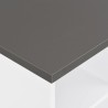 Table de bar Blanc et gris anthracite 60x60x110 cm 628764628764