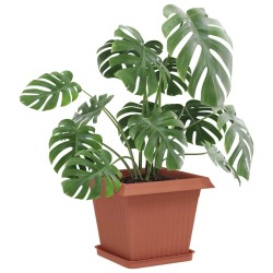 Pots de plantes 6 pcs Rouge brique 33 x 33 x 26 cm Plastique 628777628777