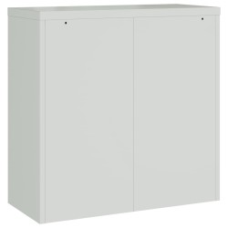 Armoire de bureau avec 2 portes Gris 90 cm Acier 628896628896