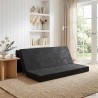 Canapé-lit pliable 180 x 67 x 45 cm Noir 628898628898