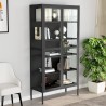 Vitrine d'exposition Anthracite 90x40x180 cm Acier/verre trempé 628933628933