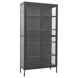 Vitrine d'exposition Anthracite 90x40x180 cm Acier/verre trempé 628933628933