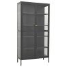 Vitrine d'exposition Anthracite 90x40x180 cm Acier/verre trempé 628933628933