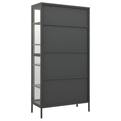Vitrine d'exposition Anthracite 90x40x180 cm Acier/verre trempé 628933628933