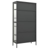 Vitrine d'exposition Anthracite 90x40x180 cm Acier/verre trempé 628933628933