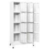 Armoire à casier avec 12 compartiments 90x45x180 cm   628949628949