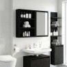 Armoire murale de salle de bain Chêne Noir 40 x 10 x 50 cm 629025629025
