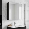 Armoire Miroir de Salle de Bain Chêne noir 63,5 x 15,5 x 70 cm 629043629043