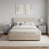 Cabinet de chevet 2 pcs Sonoma gris 43 x 34,5 x 50 cm 629082629082